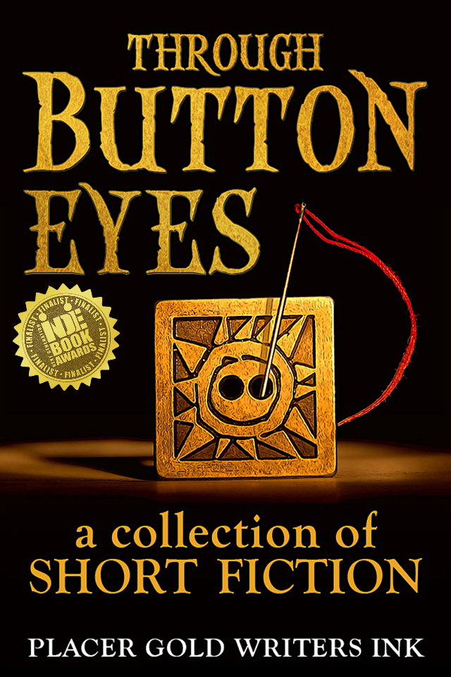 Through Button Eyes finalist in INDIE Book Awards
